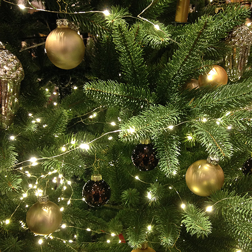 Real Christmas Trees Delivered To Your Door Garden For Pleasure