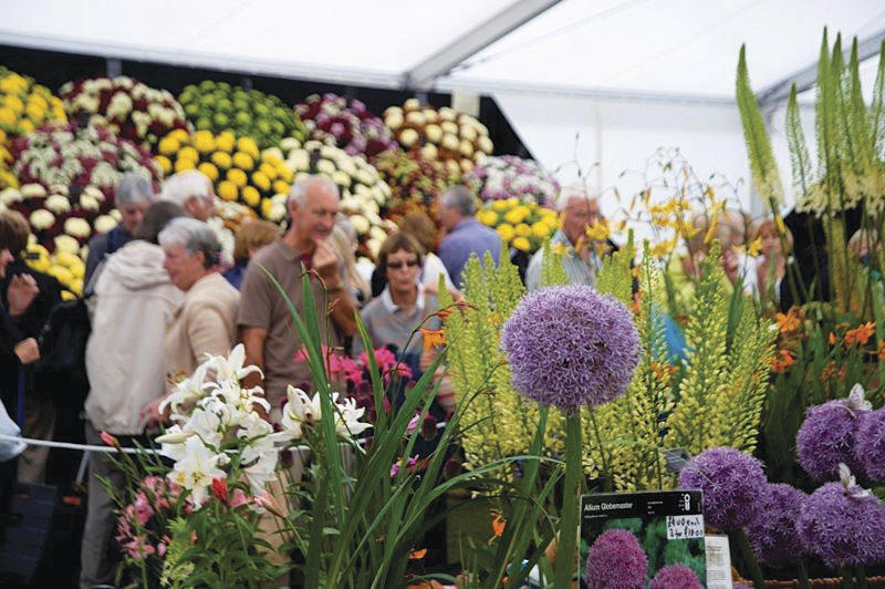 Coach Trips To The Flower Shows