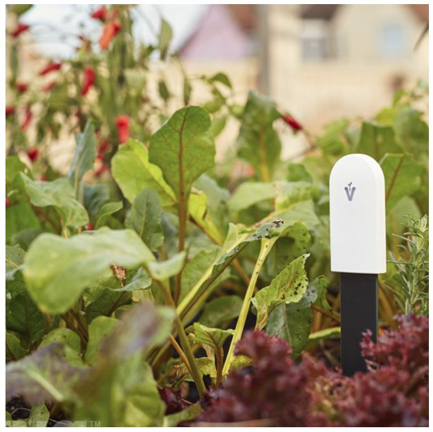 Cutting Edge Gardening With Smart Technology