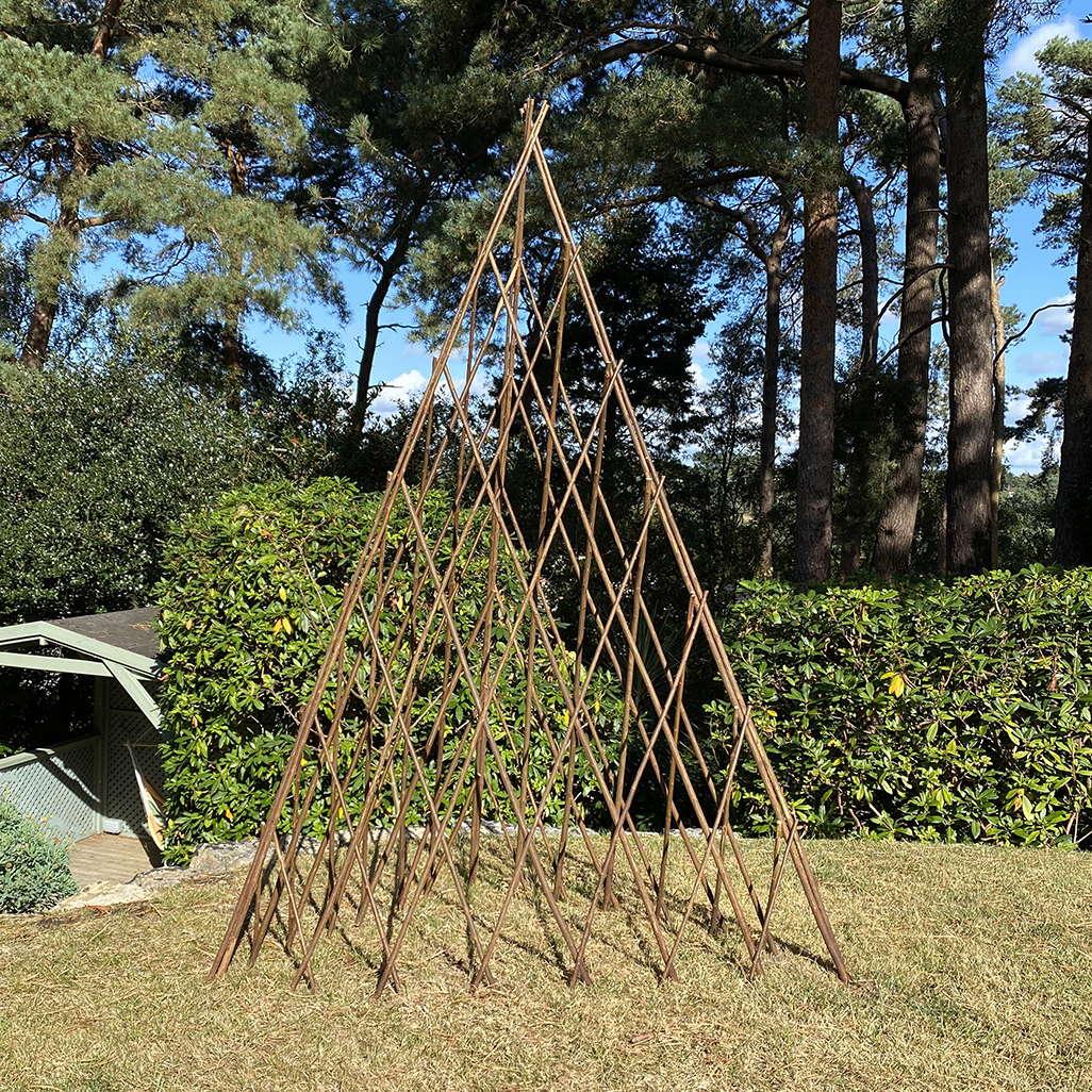 Expanding Willow Garden Obelisk (1.5m)