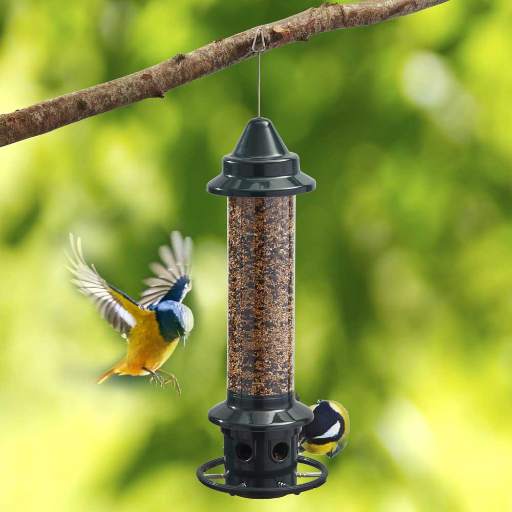 squirrel buster bird feeder squirrel buster bird feeder