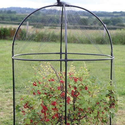 Steel round fruit cage