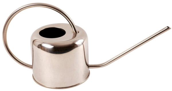 36 cm (1ft 2in) Stainless Steel 1L Watering Can