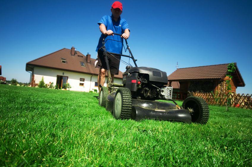 When And At What Length Should I Mow My Lawn?