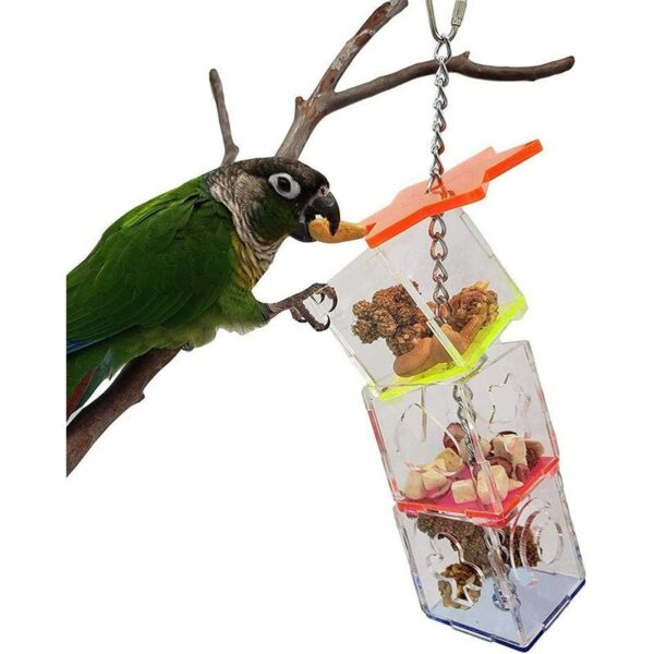 Download Bird Food Toy, Parrot Hanging Chew Food Toy, Transparent 3 ...