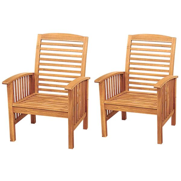 Walker Edison Set of 2 Acacia Patio Chairs - Brown