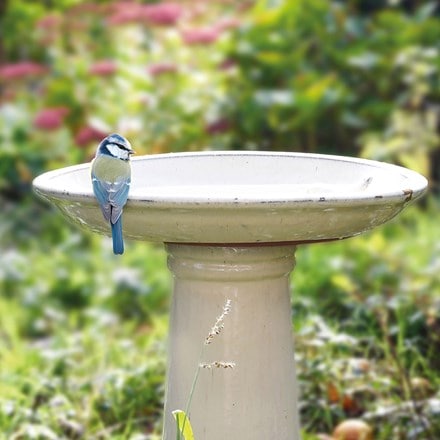 Ceramic bird bath on pedestal