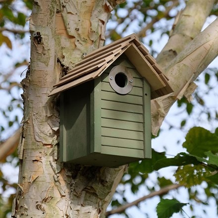 New England nest box - green