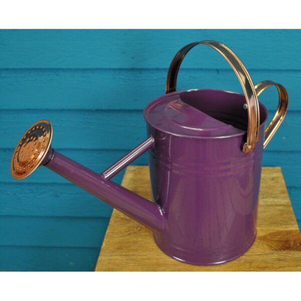Factory Second - Purple Heather & Copper Metal Watering Can (3.5 Litre)