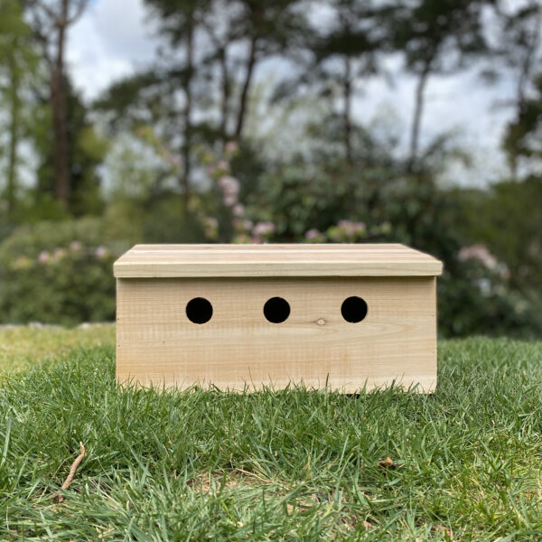 Factory Second - Sparrow Colony Terrace Wooden Nesting Box (Minor Damage)