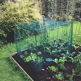 Fruit and Veg Cage
