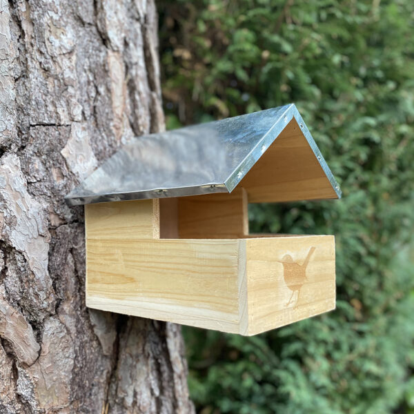 Blackbird Wooden Nesting Box - Half Price Promotional Offer