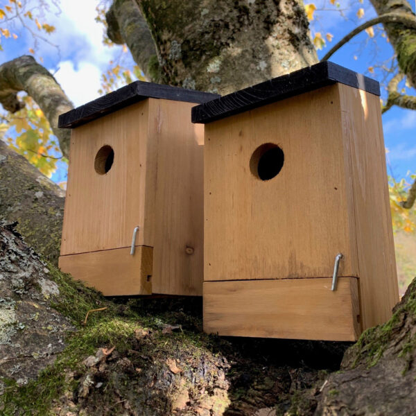 Traditional Wooden Bird Nest Box Birdhouses with Removable Bases (Set of 2) - Half Price Promotional Offer
