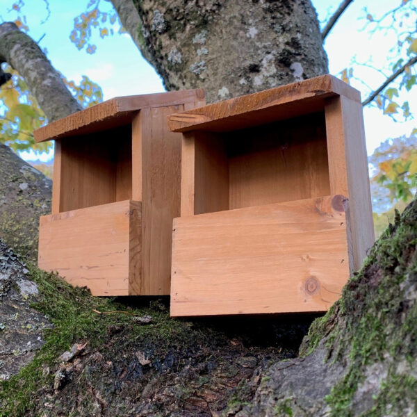 Wooden Robin Birdhouse Garden Nest Boxes (Set of 2) - Half Price Promotional Offer
