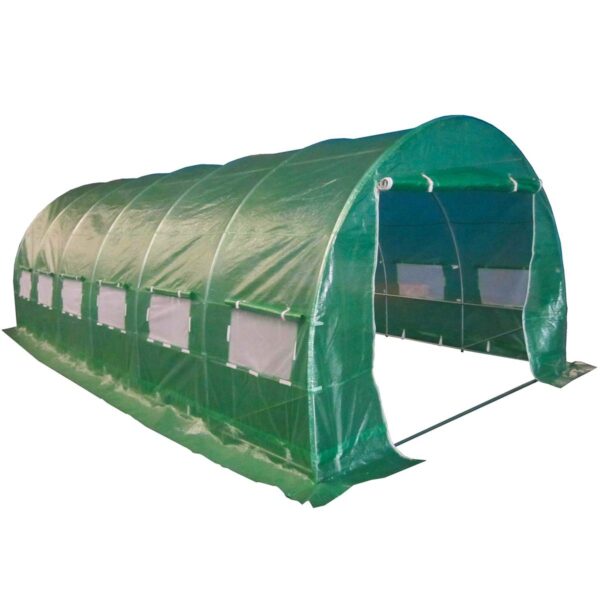 Birchtree 6M L X 3M W X 2M H Polytunnel Greenhouse Galvanised 25Mm Frame 6 Section