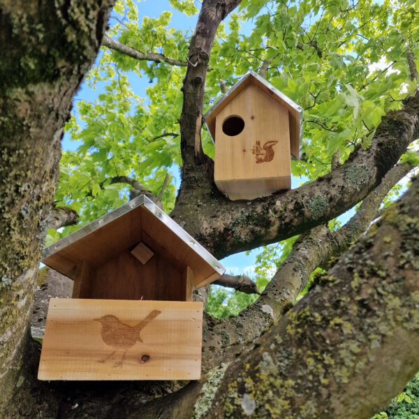 Squirrel Nest Box And Wooden Bird Nesting Box Set