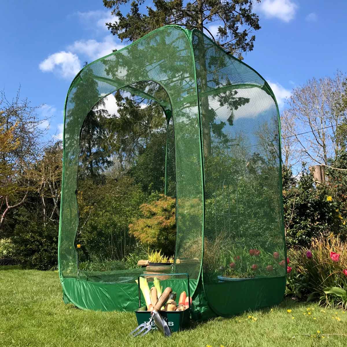 Garden Skill Gardenskill Pop Up Raspberry Fruit Cage And Plant Cover 1 X 1 X 1.85M
