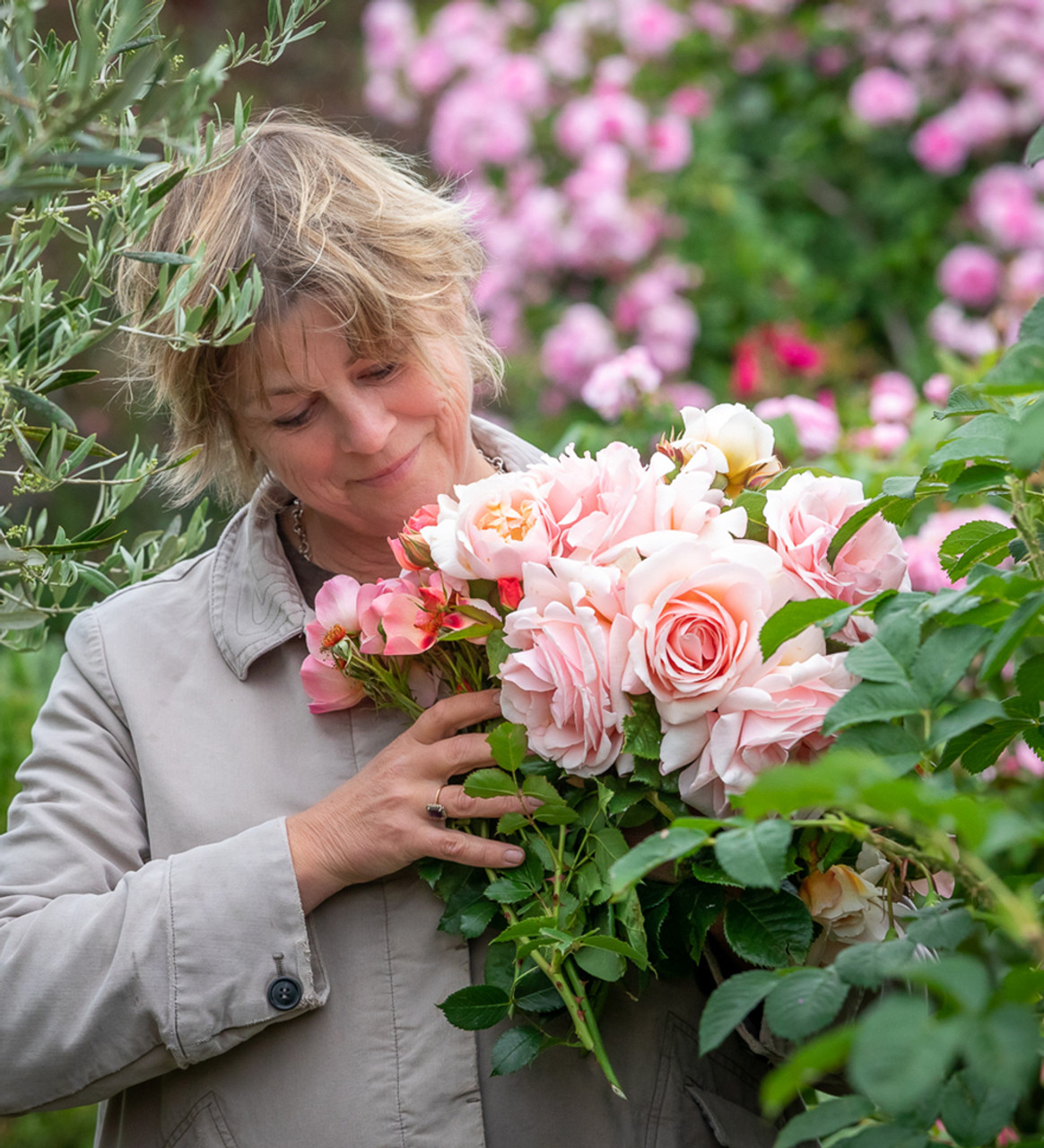 Plantaholic’s Choice – Rose Collections From Sarah Raven