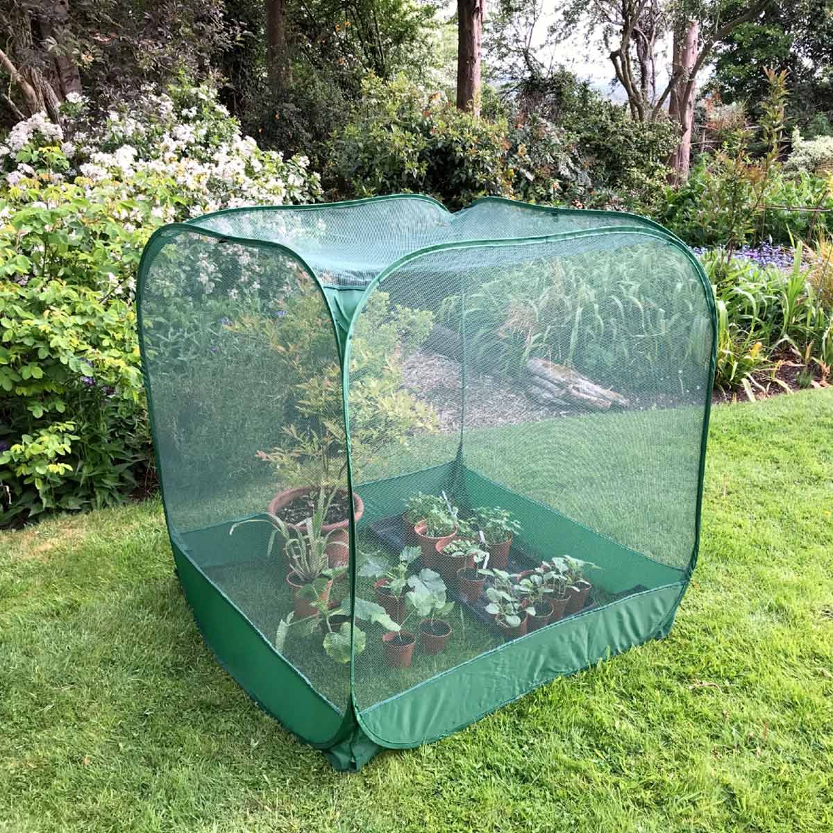 Garden Skill Gardenskill Pop Up Fruit Cage And Brassica Grow-house 1.25M X 1.35M