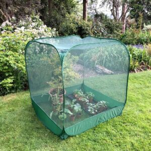 Garden Skill Gardenskill Pop Up Fruit Cage And Brassica Grow-house 1M X 1.35M