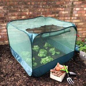 Garden Skill Gardenskill Pop Up Strawberry And Salad Fruit Cage Plant Cover 1 X 1 X 0.75M