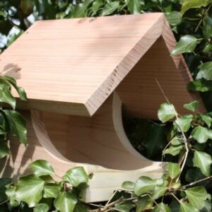 Wildlife World Blackbird Nest Box