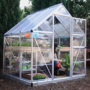 Palram-Canopia HYBRID 6x6 - SILVER Greenhouse