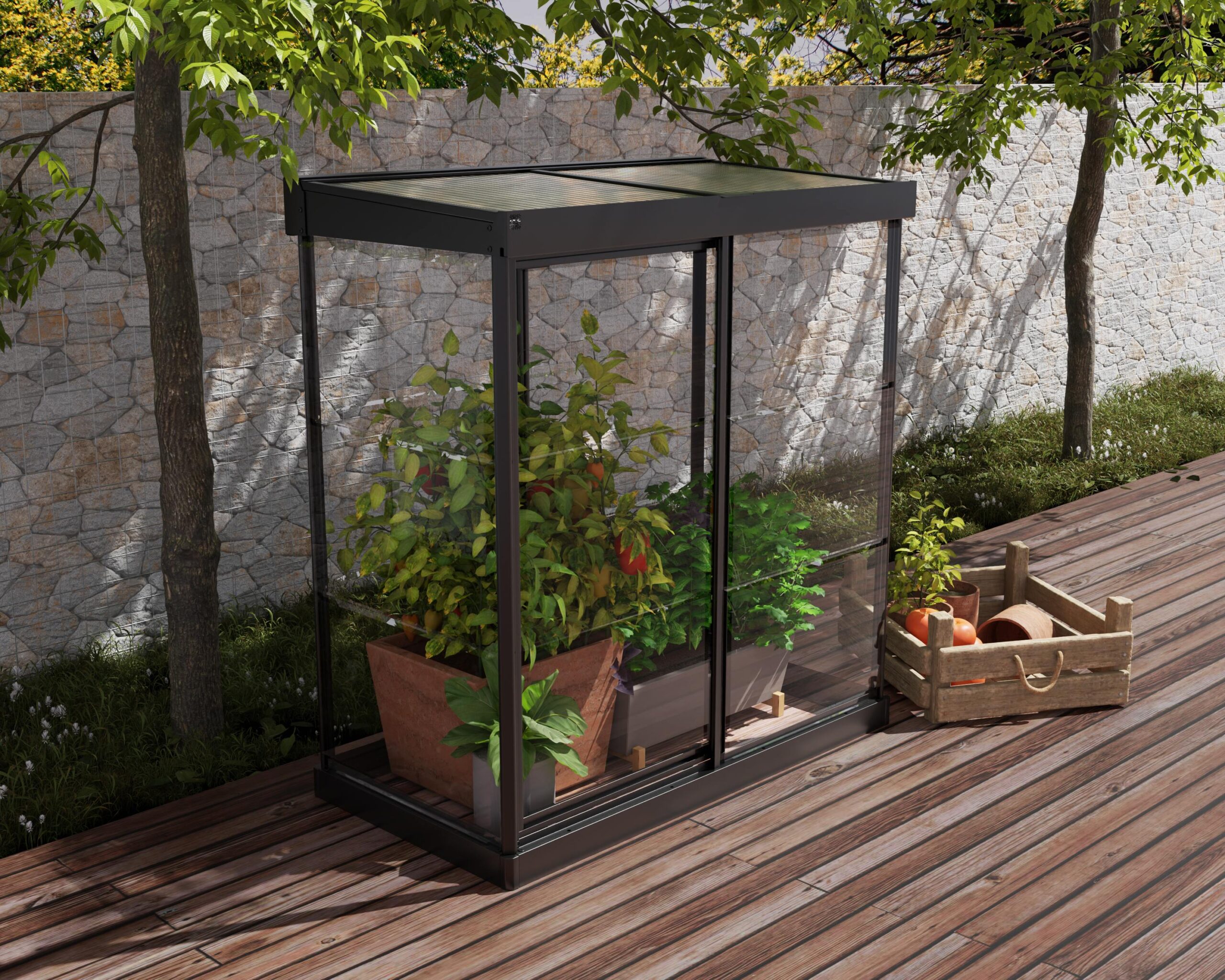 Palram-Canopia Ivy Polycarbonate Greenhouse (Black)