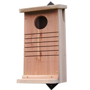 Wild Life World Red Squirrel Nest Box