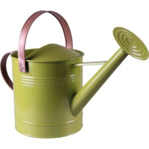 St Helens Metal Watering Can 4.5L - Green