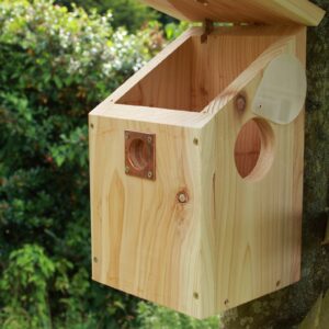 Camera Ready Nest Box