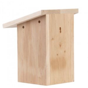 Fallen Fruits Blue Tit Nest Box (In Gift Box)