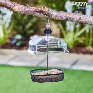 Hanging Adjustable Small Bird Feeder with Baffle