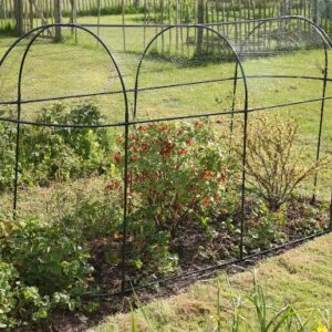 Haxnicks Steel Long Fruit Cage