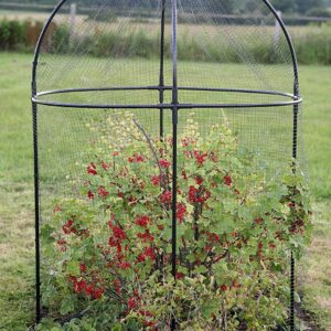 Haxnicks Steel Round Fruit Cage