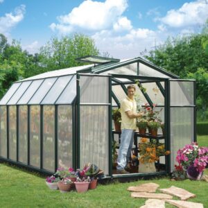 Palram-Canopia Rion Hobby 8X12 Greenhouse