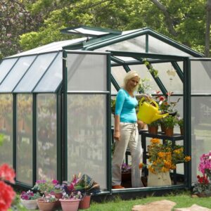 Palram-Canopia Rion Hobby 8X16 Greenhouse