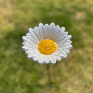Cast Iron Daisy Bird Feeder