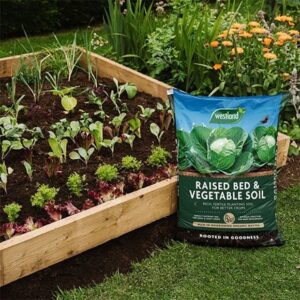 Peat free raised bed & vegetable compost